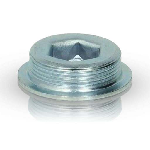 Crackcase closing bolt